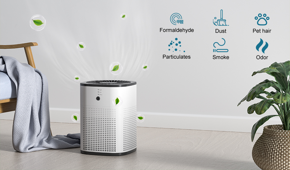 Home Portable Air Purifier and Aroma Diffuser