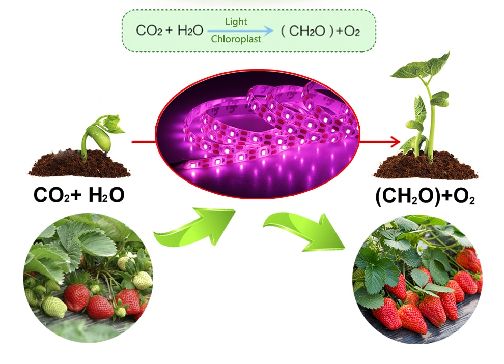 Hydroponics LED Strip Light